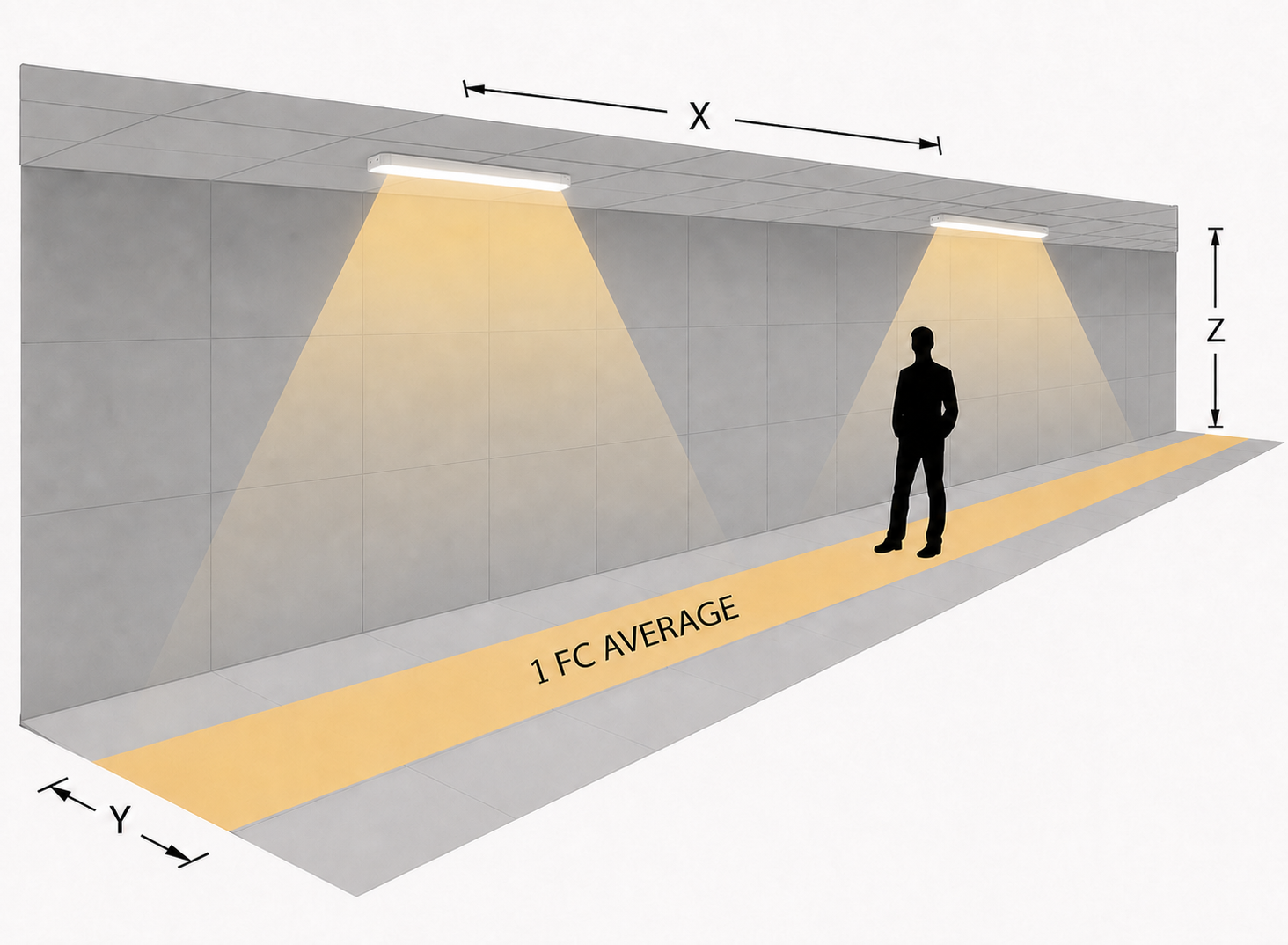 Commercial Lighting | Strip Fixture 8 ft Photometrics