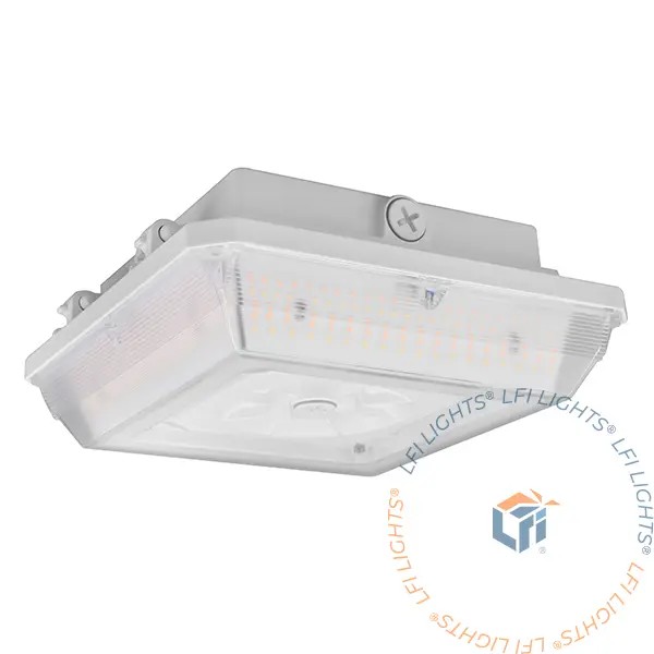 Commercial Lighting | Canopy and Garage Fixture