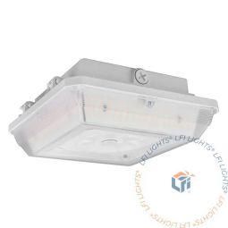 Commercial Lighting | Canopy and Garage Fixture
