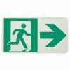 Shop Photoluminescent Exit Path Markings and Egress