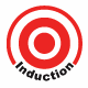 Induction (Electrodeless Lamp) Lighting